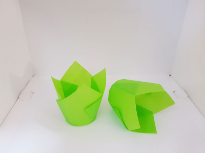 Капсулы тюльпан 50*80мм Зеленый, пергамент, 1шт Капсулы тюльпан 50*80мм Зеленый, пергамент, 1шт