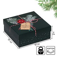 Коробка новогодняя Новогодняя посылка, 17×17×7 см, Новый год