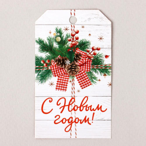 Шильдик новогодний С Новым Годом!, новогодняя композиция 4,7*8см, 20шт Шильдик новогодний С Новым Годом!, новогодняя композиция 4,7*8см, 20шт