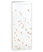 Пакет подарочный для вина Тысячи созвездий, белый/золото, 36*12*9см