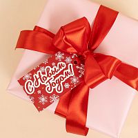 Бирка для оформления С Новым Годом! (волшебные снежинки), Красный, 5*8 см, 20 шт — купить в нашем магазине для кондитеров в Москве