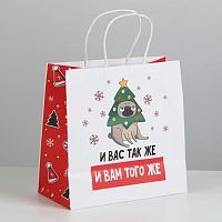 Пакет подарочный И Вас также, и Вам того же..., 22*22*11см
