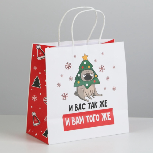 Пакет подарочный И Вас также, и Вам того же..., 22*22*11см