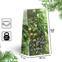 Пакет без ручек С Новым годом, веточка ели, 10×19.5×7см