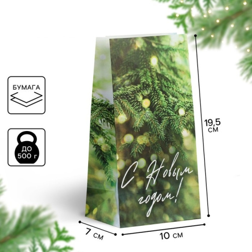 Пакет без ручек С Новым годом, веточка ели, 10×19.5×7см