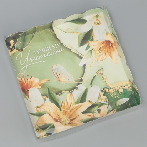 Коробка для пряников Лучшему учителю 18*18*3см фото 2