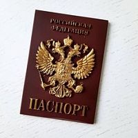 Фигурка из шоколадной глазури Паспорт, 1шт