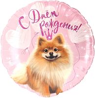 Воздушный шар фольгированный Круг, С Днем Рождения (шпиц)