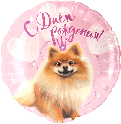 Воздушный шар фольгированный Круг, С Днем Рождения (шпиц) Воздушный шар фольгированный Круг, С Днем Рождения (шпиц)