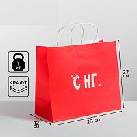 Пакет подарочный С НГ, 25*22*12см