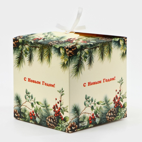 Коробка новогодняя Еловая веточка, 14×14×14 см