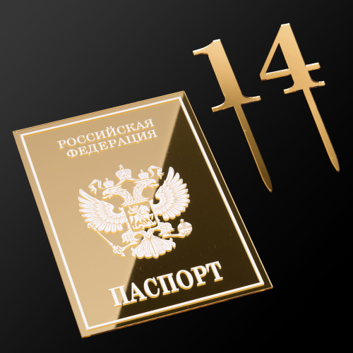Набор топперов: Паспорт + 14, золото