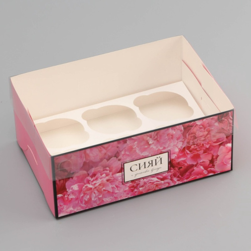 Коробка для 6 капкейков с прозр крышкой, «Сияй от счастья», 23×16×10 см фото 2