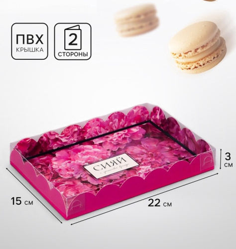 Коробка для печенья, Сияй, 22×15×3 см