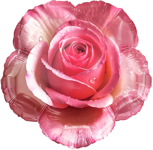 Воздушный шар фольгированный Цветок, Утренняя роза, 46см Воздушный шар фольгированный Цветок, Утренняя роза, 46см