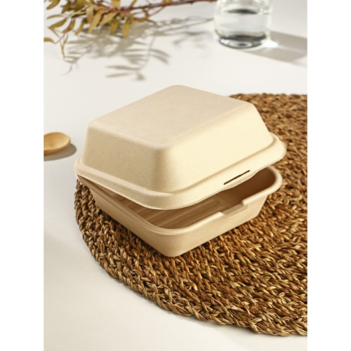 Ланч-бокс для бенто Доляна, 450 мл, 14,5×14,5 см, сахарный тростник фото 2