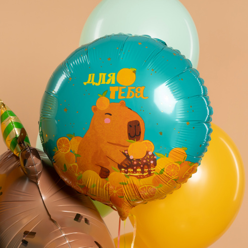 Воздушный шар фольгированный Круг Капибара фото 2 Воздушный шар фольгированный Круг Капибара фото 2